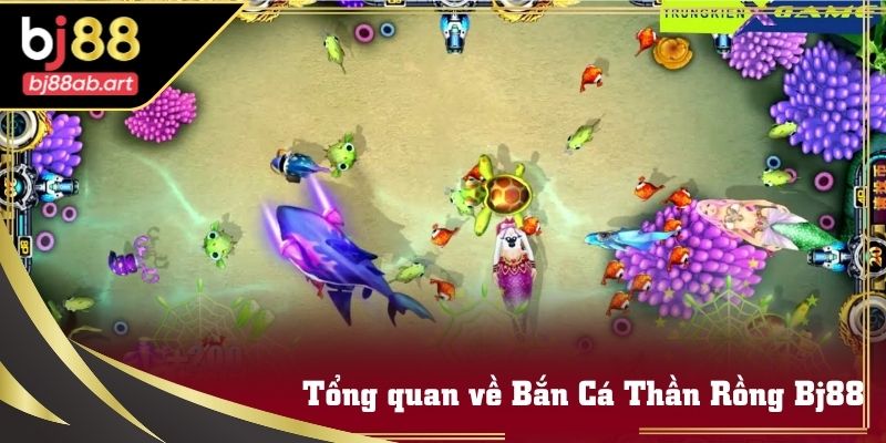 Khái quát Bắn Cá Thần Rồng Bj88