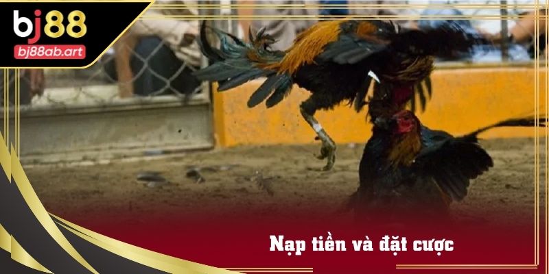 Sau khi đăng nhập, người chơi cần nạp tiền để tham gia đặt cược