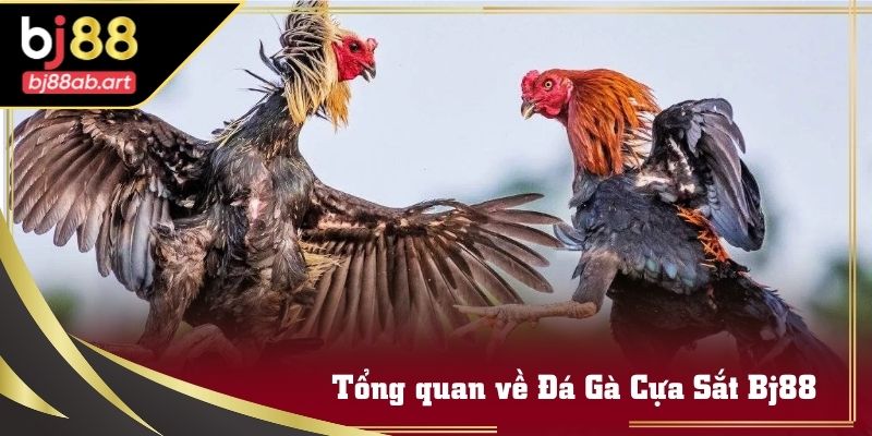 Giao diện trực tuyến trận đấu đá gà cựa sắt Bj88 rõ nét và mượt mà