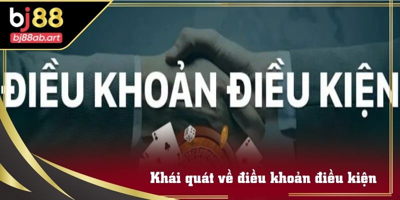 Giao diện mục điều khoản và điều kiện trên hệ thống