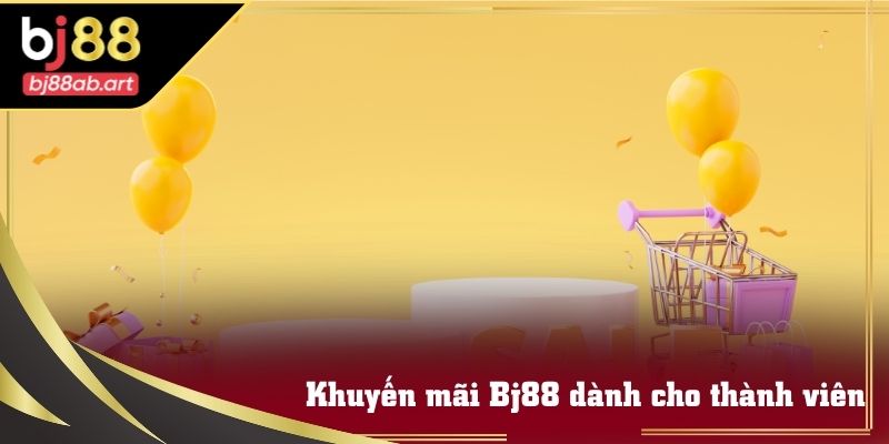 Khu vực lịch sử tài khoản và bảng cấp độ thành viên