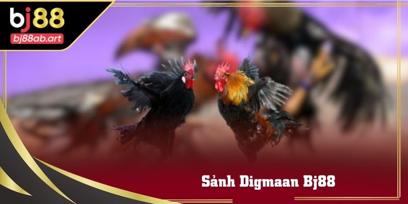 sanh-digmaan-bj88-ava