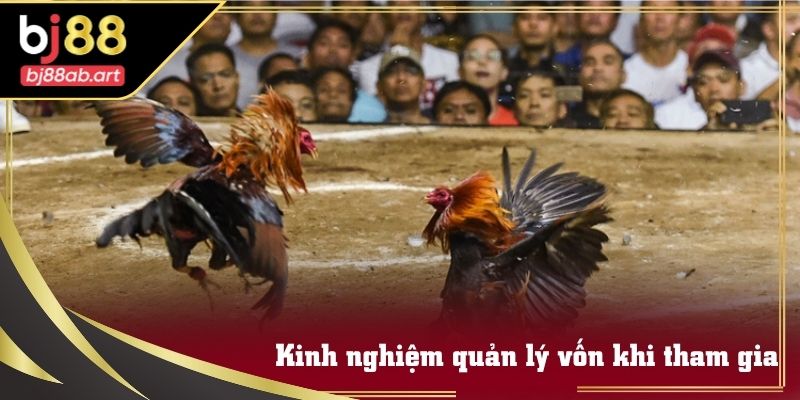 Mô phỏng chiến lược phân bổ vốn theo từng phiên đấu