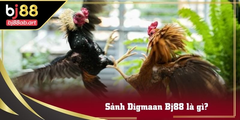 Trường đấu truyền hình trực tiếp từ sảnh Digmaan Bj88