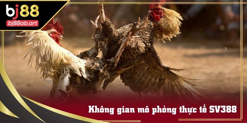 Không gian trường đấu được truyền hình trực tiếp tại Sảnh SV388