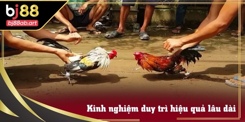 Chiến lược phân tích và quản lý vốn trong Sảnh SV388