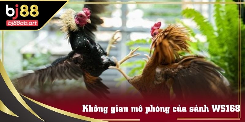 Toàn cảnh trường đấu truyền hình trong Sảnh WS168